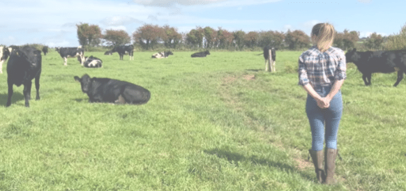 Meet Hazell Mullins – Large Animal Vet, Dairy Farmer & Alpha Wealth Client